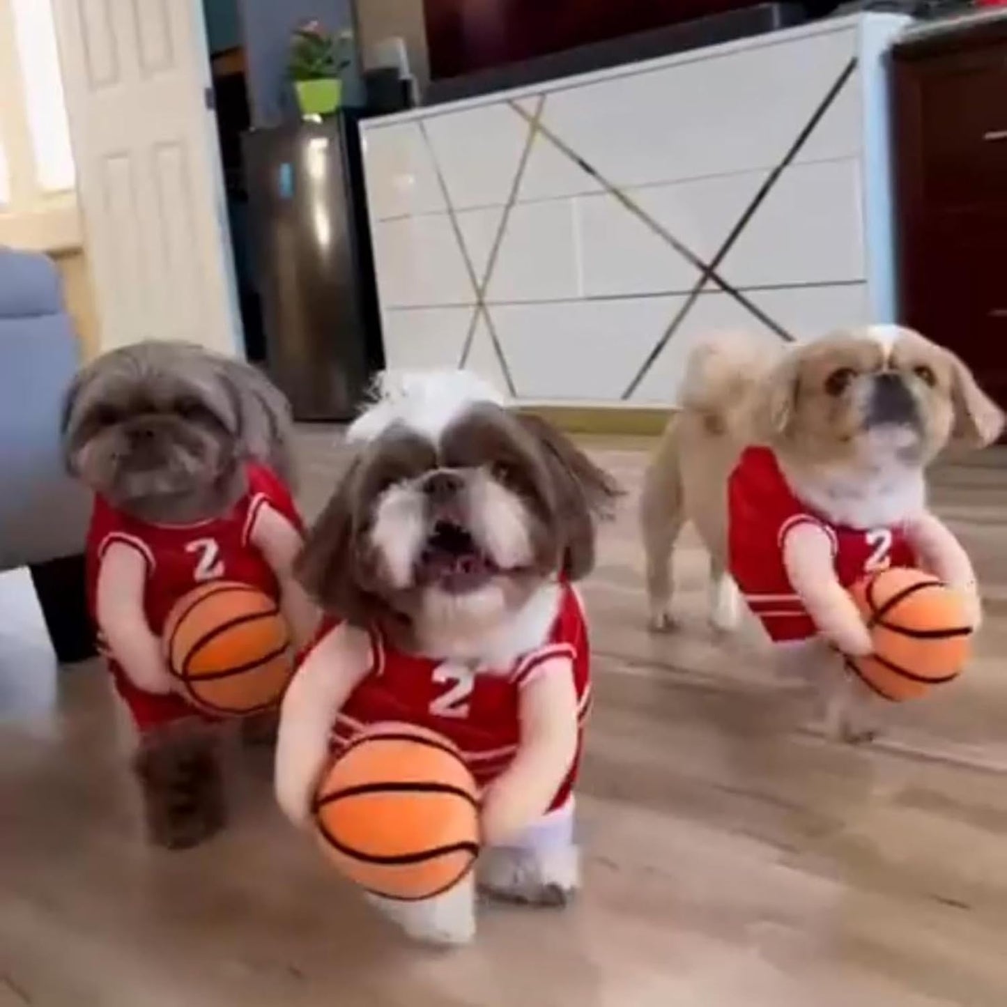 2025 New Dog Halloween Costumes, Dog Basketball Costume with Ball, Halloween Costumes with Basketball, Costume for Small Medium Large Dogs (1*Yellow, Small)
